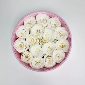Caja rosa de rosas blancas